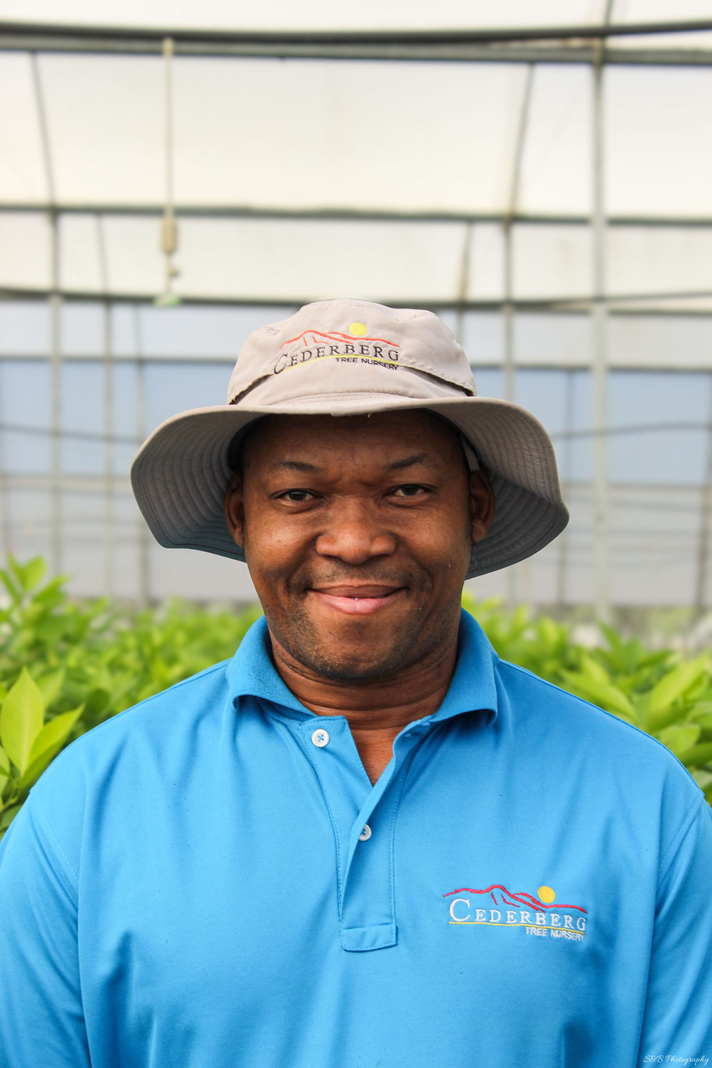 Daniel Scwebu